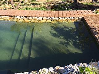 piscines-naturelles/jouvence/bassin-naturel-andalousie-1/couleur-nature-piscine-bassin-naturel-couleur-nature-andalousie-4.jpg