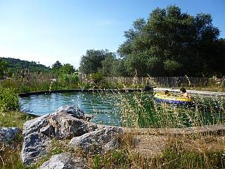 piscines-naturelles/jouvence/bassin-naturel-la-garde-freinet-1/couleur-nature-piscine-bassin-naturel-garde-freinet-var-83-2.jpg
