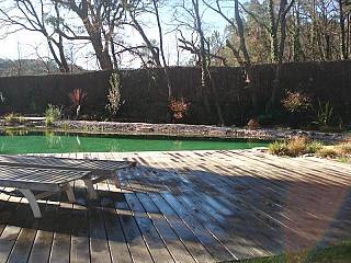 piscines-naturelles/en-hiver/grimaud-2/couleur-nature-piscine-bassin-naturel-hiver-grimaud-2.jpg
