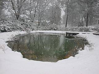 piscines-naturelles/en-hiver/mouans-sartoux-1/couleur-nature-piscine-bassin-naturel-hiver-mouans-sartoux.jpg