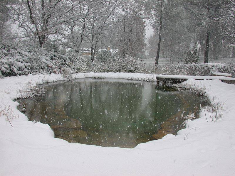 Bassin naturel en hiver à Mouans Sartoux