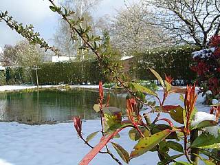 piscines-naturelles/en-hiver/paris-1/couleur-nature-piscine-bassin-naturel-hiver-region-parisienne.jpg