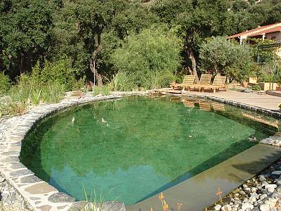 piscines-naturelles/thermes/bassin-naturel-cavaliere-83-1/couleur-nature-piscine-bassin-naturel-pierres-cavaliere-83.jpg