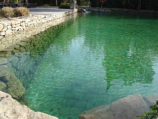 piscines-naturelles/thermes/bassin-naturel-grimaud-2/couleur-nature-piscine-bassin-naturel-pierres-grimaud-var-83_4.jpg