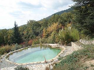 piscines-naturelles/thermes/bassin-naturel-seillans-83-1/couleur-nature-piscine-bassin-naturel-pierres-seillans-83_2.jpg