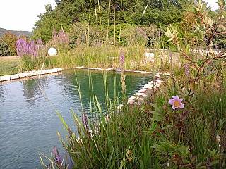 piscines-naturelles/jouvence/bassin-naturel-st-martin-de-pallieres-83-1/couleur-nature-piscine-bassin-naturel-st-maximin-var-83-3.jpg