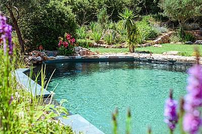 piscines-naturelles/nature/piscine-naturelle-besse-sur-issole-1/couleur-nature-piscine-ecologique-var-5.jpg