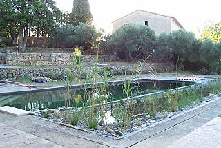 piscines-naturelles/renovation/lorgues-1/couleur-nature-piscine-grande-piscine-naturelle.jpg