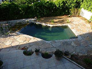 piscines-naturelles/nature/piscine-naturelle-draguignan-1/couleur-nature-piscine-naturelle-12-m2-draguignan.jpg