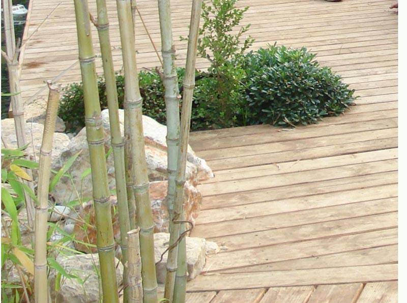 Terrasse en bois de pin