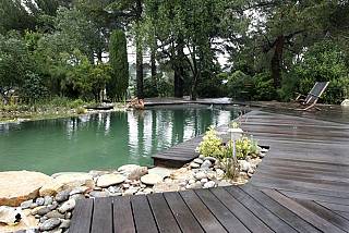 piscines-naturelles/renovation/mougins-1/couleur-nature-piscine-transformation-piscine-piscine-naturelle.jpg