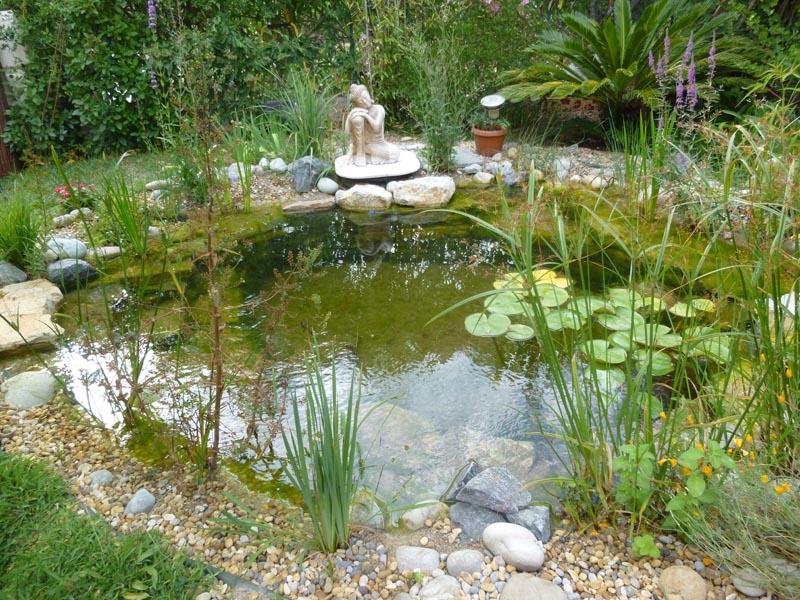couleur nature piscine petit bassin poissons paysage cogolin var 83 002