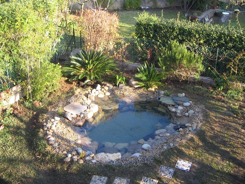 couleur nature piscine petit bassin poissons paysage cogolin var 83 003