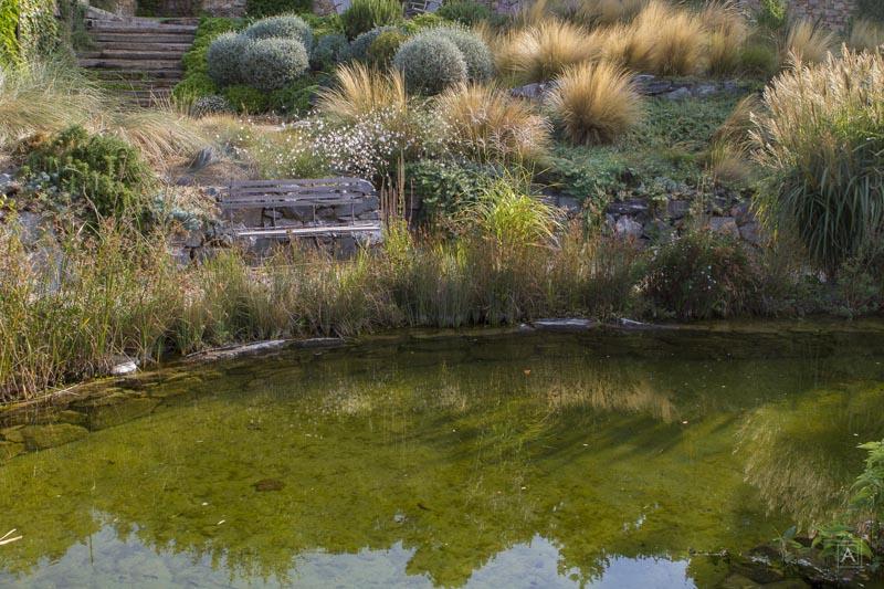 couleur nature piscine bassin poissons garde freinet var 83