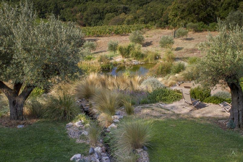 couleur nature piscine bassin poissons paysage garde freinet var 83