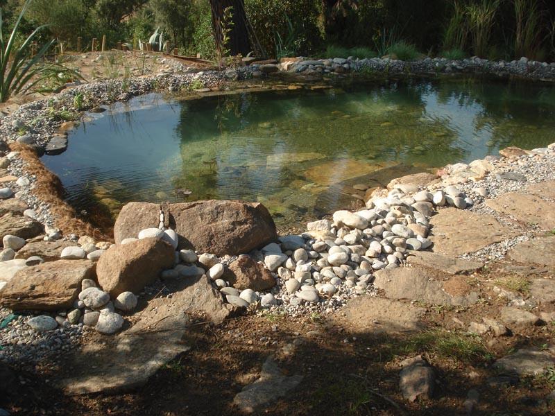 couleur nature piscine bassin poisson paysage grimaud var 83 2
