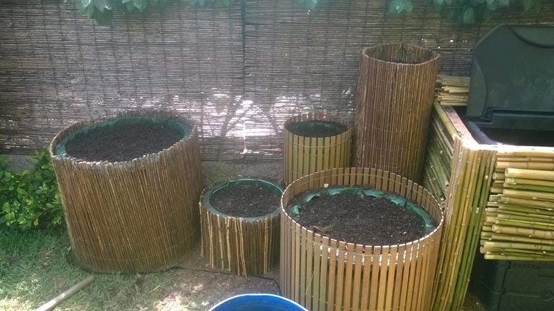 couleur nature piscine jardinieres bambou osier 2