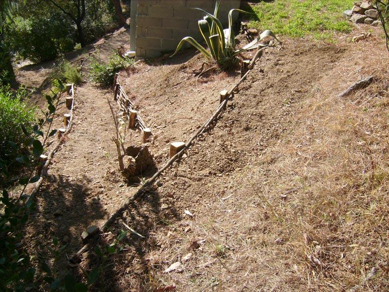 couleur nature piscine retenue terres bois 2