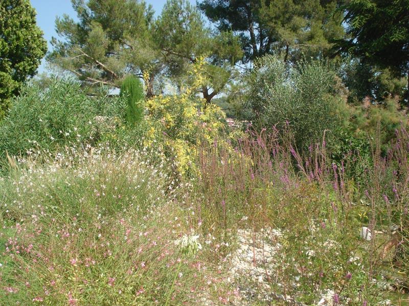 couleur nature piscine paysage grimaud 10