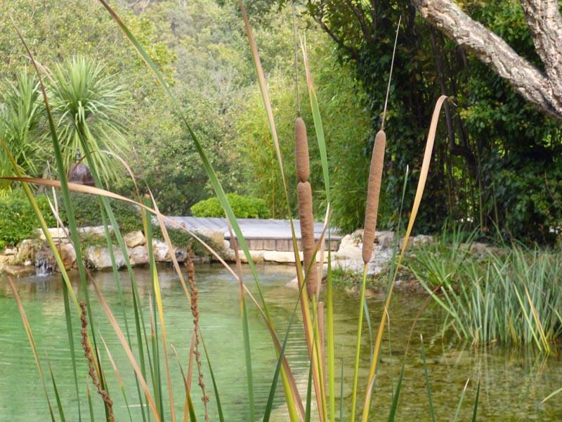 couleur nature piscine paysage grimaud 12