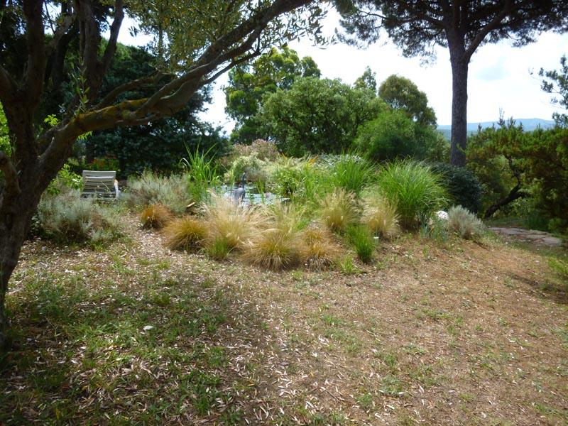 couleur nature piscine paysage grimaud 13