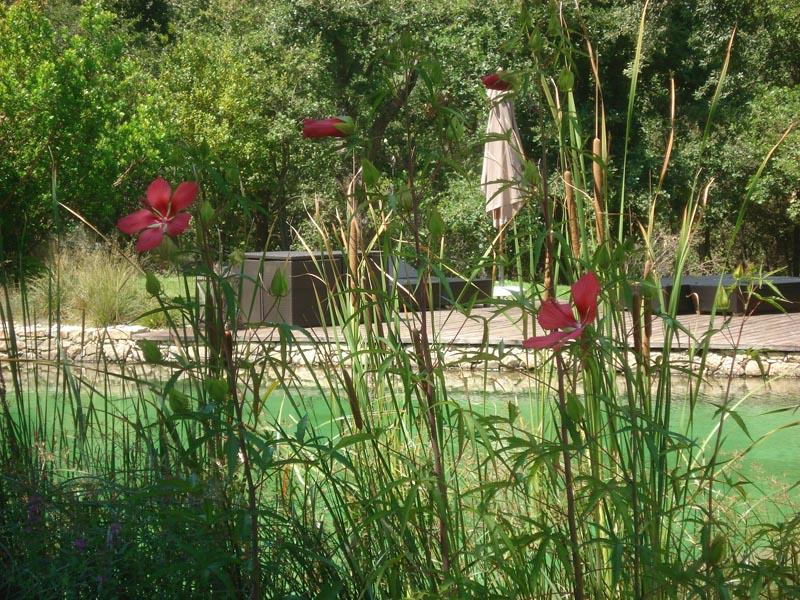 couleur nature piscine paysage grimaud 2