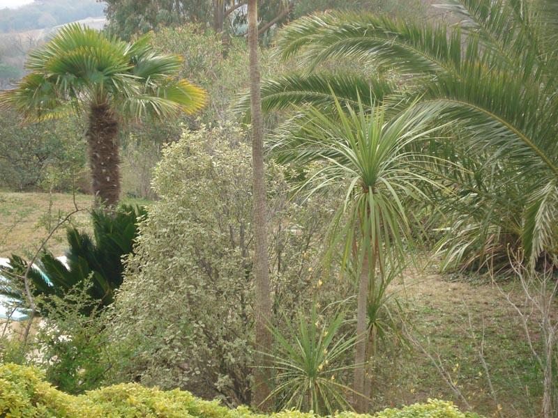 couleur nature piscine paysage grimaud 3