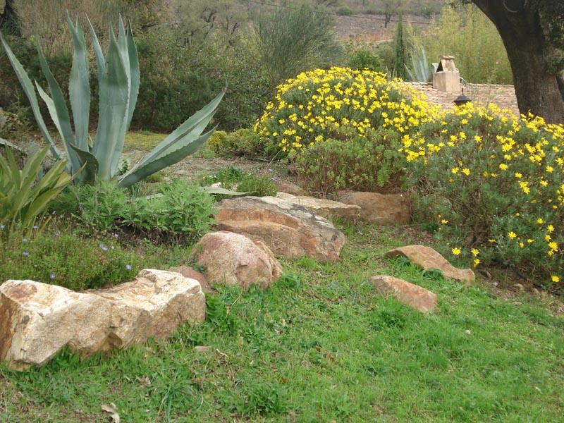 couleur nature piscine paysage grimaud 4