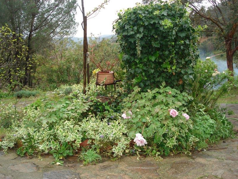 couleur nature piscine paysage grimaud 5