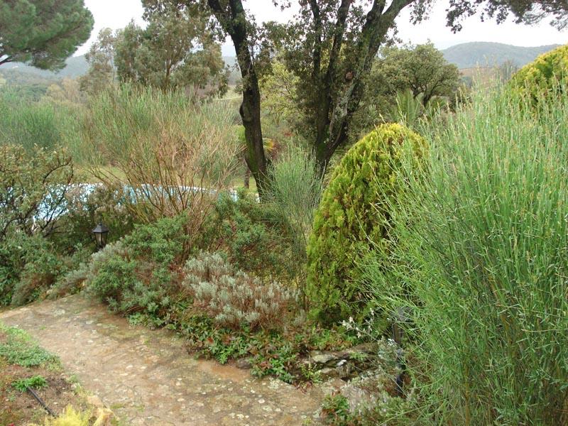 couleur nature piscine paysage grimaud 6