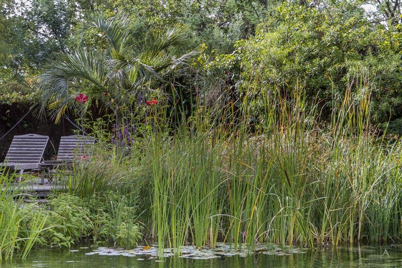 couleur nature piscine paysage grimaud