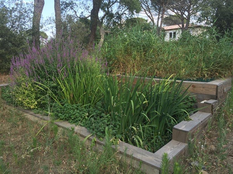 couleur nature piscine filiere assainissement 5eh vidauban