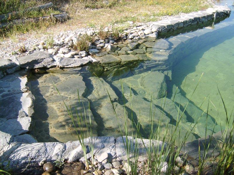 couleur nature piscine acces piscine escalier pierres 4