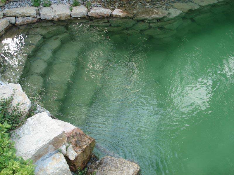 couleur nature piscine acces piscine escalier pierres