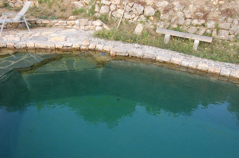 couleur nature piscine acces piscine pierres