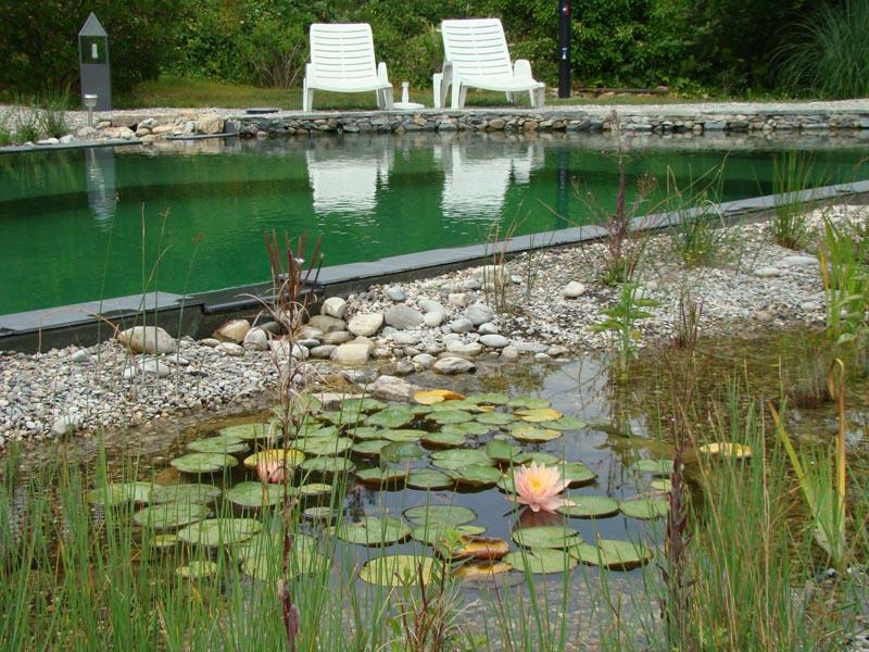 couleur nature piscine fentre debordement