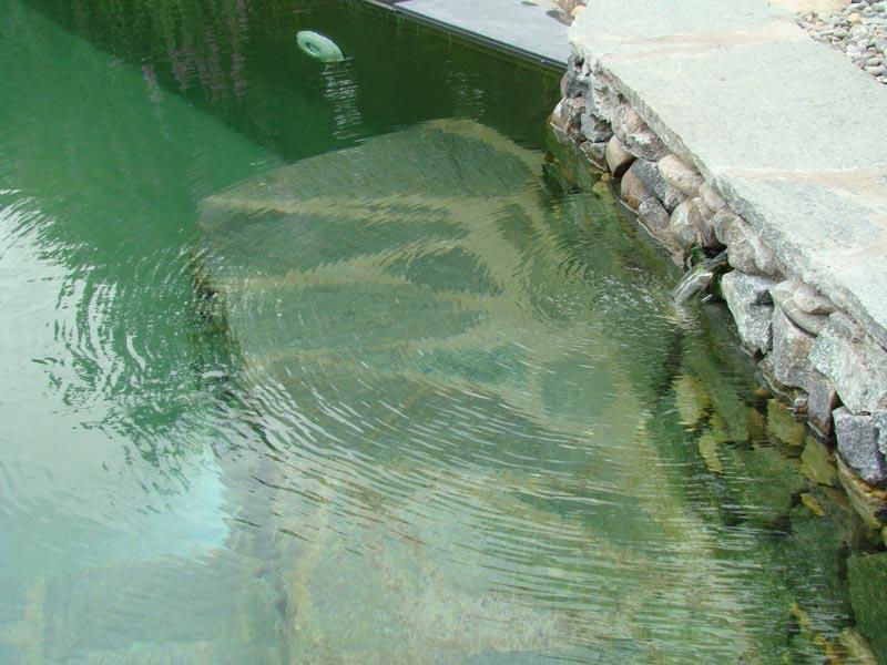 couleur nature piscine fontaine bassin