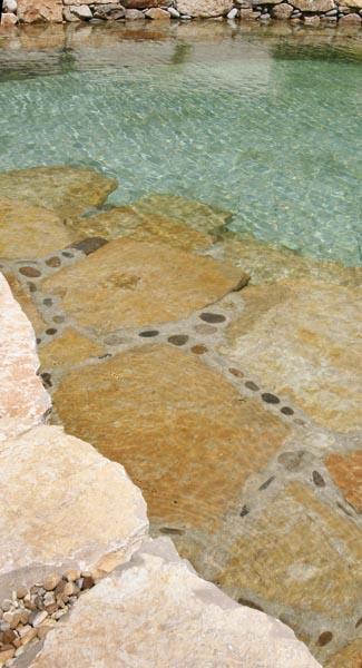 couleur nature piscine pataugeoire pierres