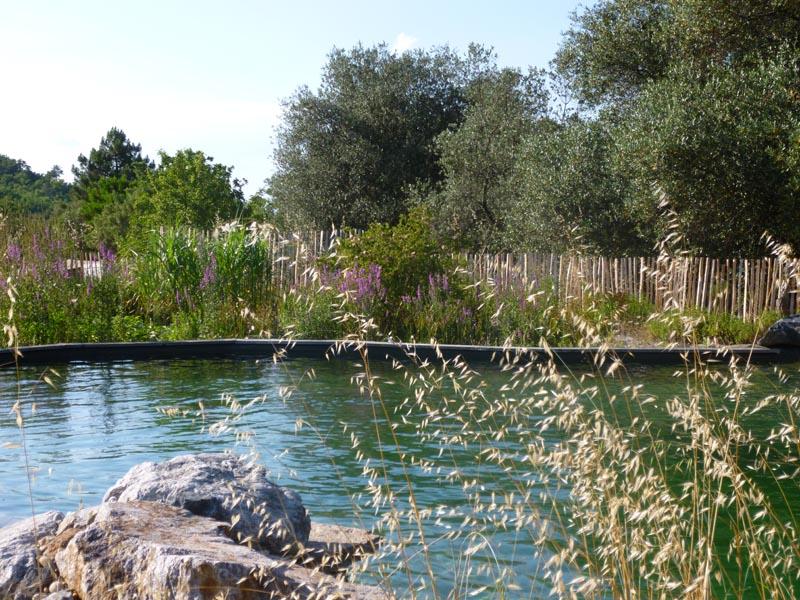 couleur nature piscine bassin naturel garde freinet var 83 3