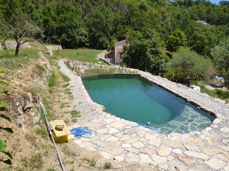couleur-nature-piscine-bassin écologique dans une oliveraie