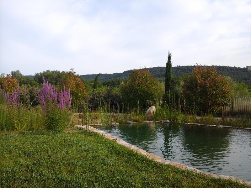 couleur nature piscine bassin naturel st maximin var 83 2