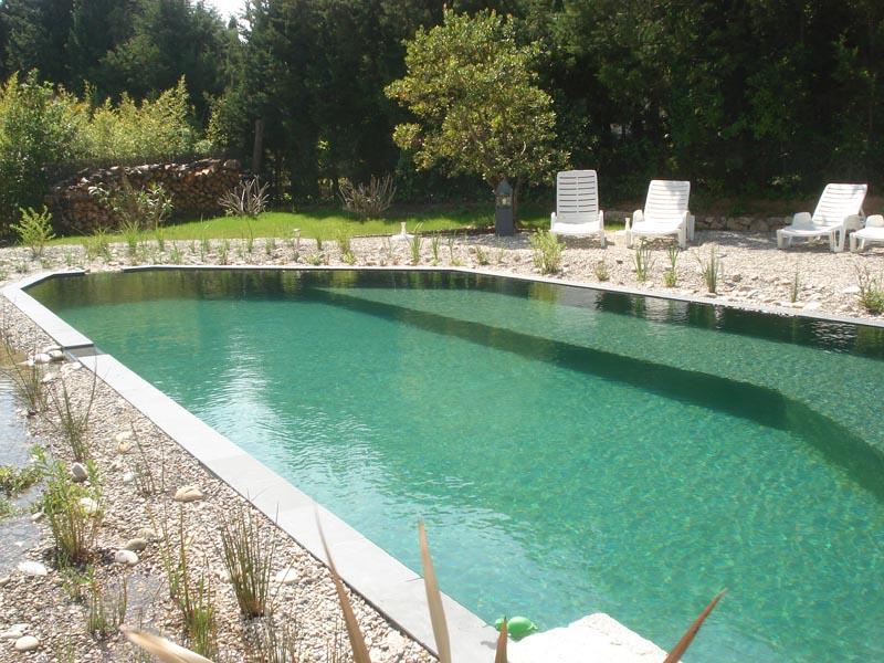 couleur nature piscine naturelle grimaud 83 2