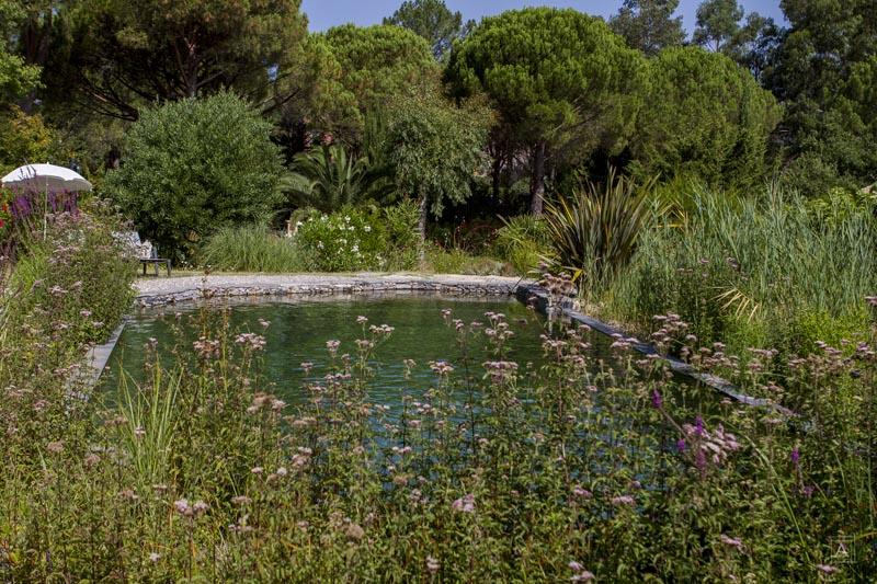 couleur nature piscine naturelle grimaud 83 4