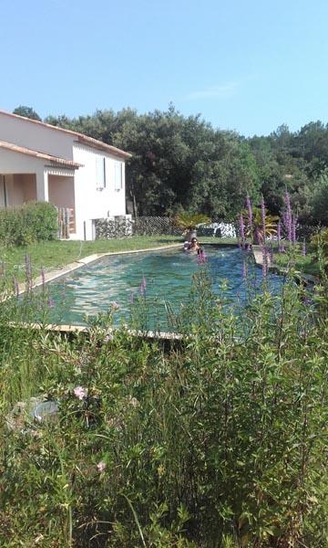 couleur nature piscine naturelle les arcs sur argens var 83 4