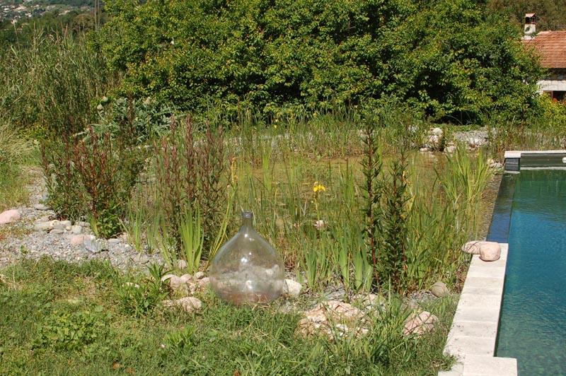couleur nature piscine bassin filtration vence
