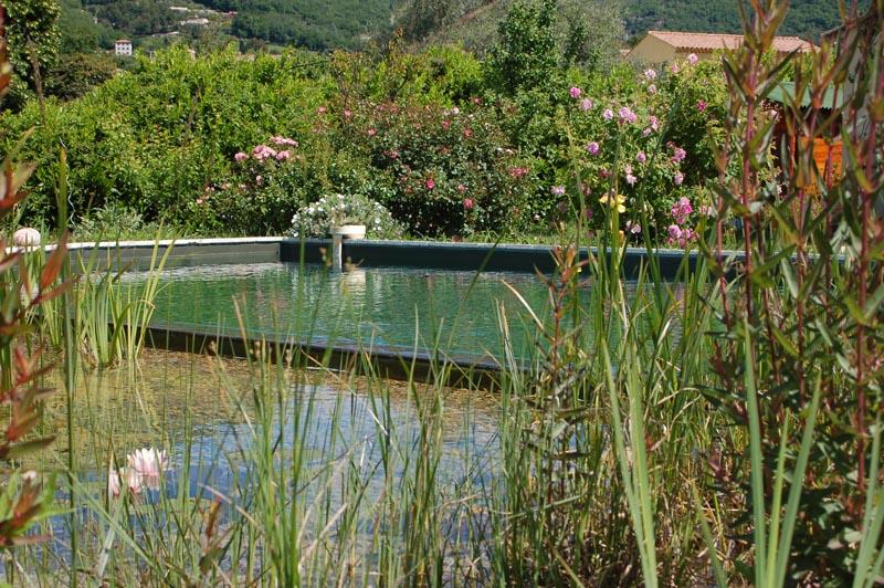 couleur nature piscine naturelle vence 06 3