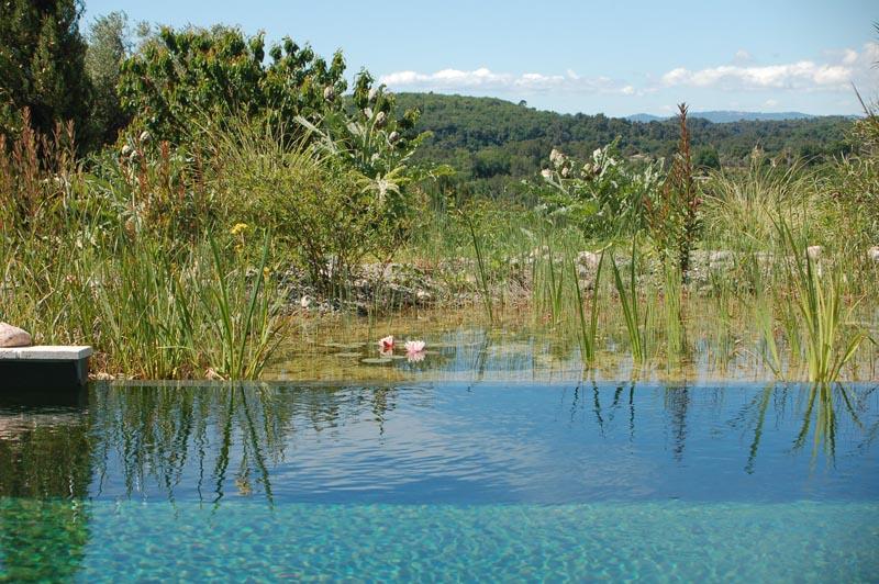 couleur nature piscine naturelle vence 06 5