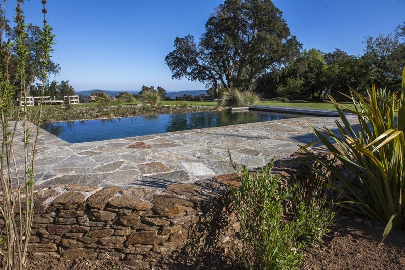 couleur nature piscine transformation piscine garde freinet 83 3