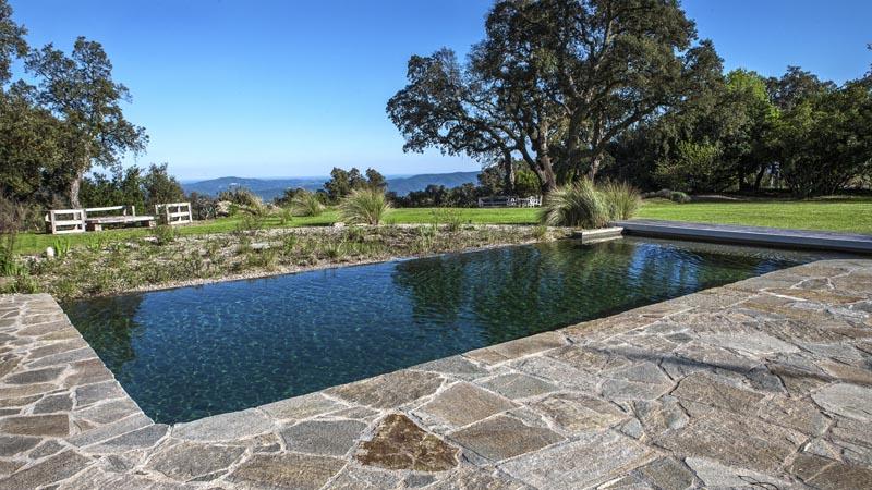 couleur nature piscine transformation piscine garde freinet 83 2