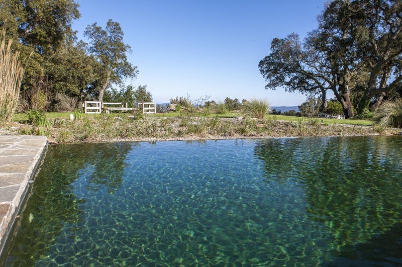 couleur nature piscine transformation piscine garde freinet var 83 4